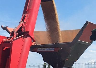 stoccaggio stoccare cereali silos orizzontali stockage grain wheat storing